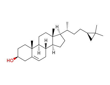 Click to see the large picture