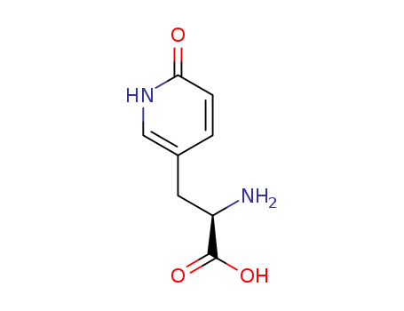 Click to see the large picture