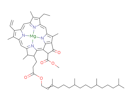 Chlorophyll a(479-61-8)