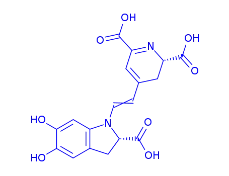 Molecular Structure of 2181-76-2 (2,6-Pyridinedicarboxylic acid,4-(2-(2-carboxy-2,3-dihydro-5,6-dihydroxy-1H-indol-1-yl)ethenyl)-2,3-dihydro-, (S-(R*,R))-)
