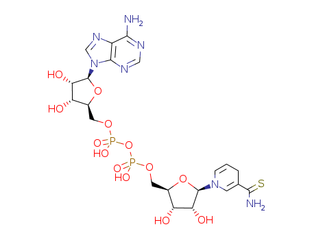 Click to see the large picture