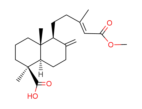agathic acid 15-methyl ester