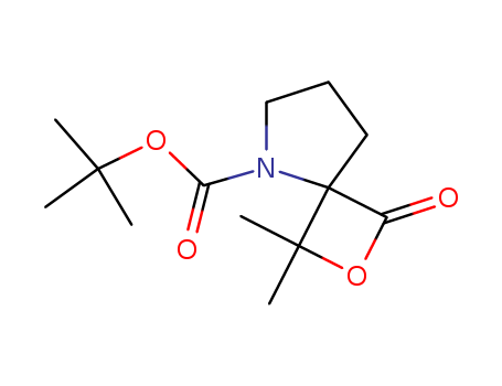 Click to see the large picture