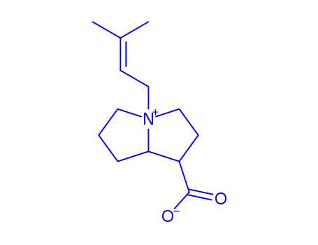 Molecular Structure of 29391-56-8 ((1R,7aβ)-1α-Carboxylatohexahydro-4-(3-methyl-2-butenyl)-1H-pyrrolizin-4-ium)