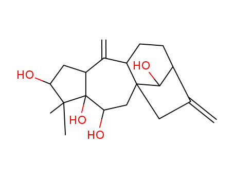 Click to see the large picture