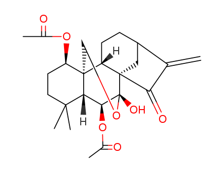 Click to see the large picture