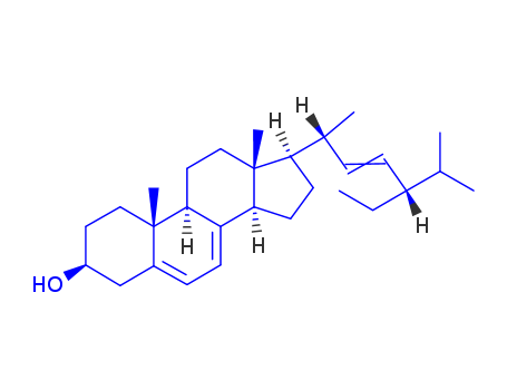 Click to see the large picture