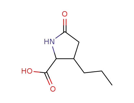 Molecular Structure of 2446-07-3 (5-oxo-3-propyl-pyrrolidine-2-carboxylic acid)