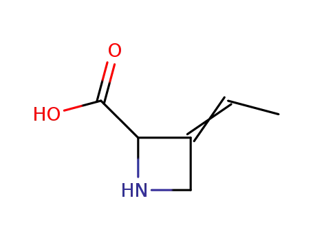 Molecular Structure of 24695-12-3 (Polyoximic acid)