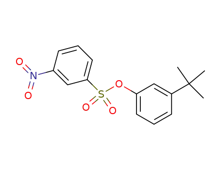 Molecular Structure of 25238-17-9 (3-tert-butylphenyl 3-nitrobenzenesulfonate)