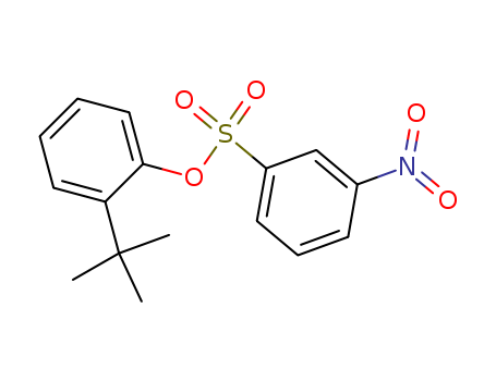 Benzenesulfonic acid,3-nitro-, 2-(1,1-dimethylethyl)phenyl ester cas  25238-16-8