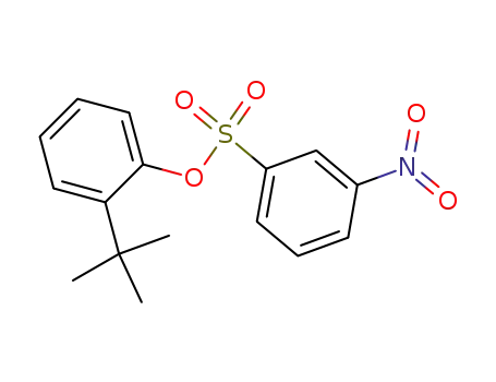 2-tert-butylphenyl 3-nitrobenzenesulfonate