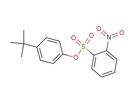 Molecular Structure of 25282-57-9 (4-tert-butylphenyl 2-nitrobenzenesulfonate)