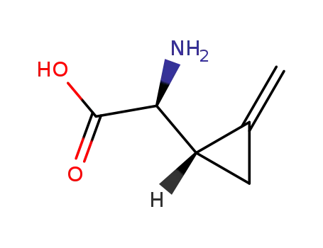 Molecular Structure of 2517-07-9 (methylenecyclopropylglycine)