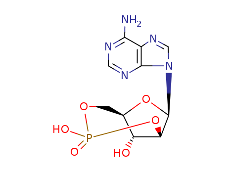 9H-Purin-6-amine,9-(2,5-O-phosphinico-b-D-arabinofuranosyl)-(9CI)