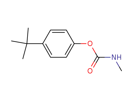 Molecular Structure of 2626-83-7 (PARA-(TERT-BUTYL)-PHENYL-N-METHYLCARBAMATE)