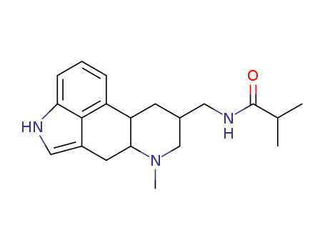 Click to see the large picture