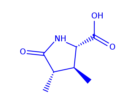 Molecular Structure of 362660-27-3 (L-Proline, 3,4-dimethyl-5-oxo-, (3S,4R)- (9CI))