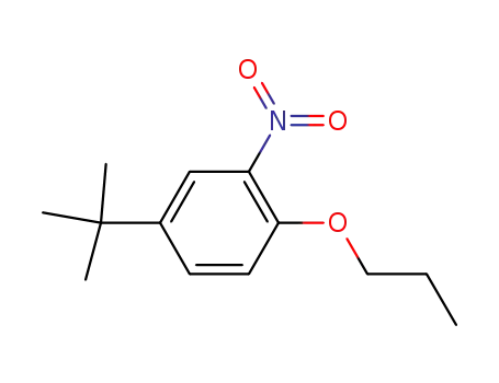 Molecular Structure of 33353-60-5 (4-tert-Butyl-2-nitrophenyl propyl ether)