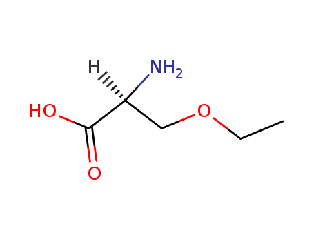 (S)-2-AMINO-3-ETHOXY-PROPIONIC ACID HYDROCHLORIDE
