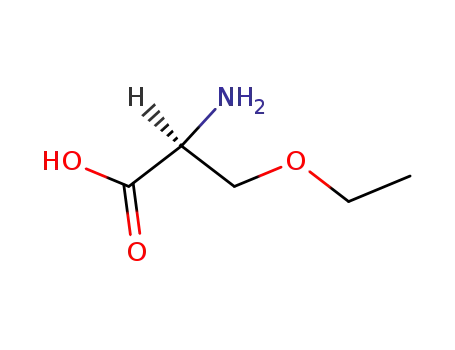 Molecular Structure of 4775-82-0 ((S)-2-AMINO-3-ETHOXY-PROPIONIC ACID HYDROCHLORIDE)