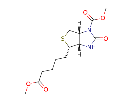 Click to see the large picture