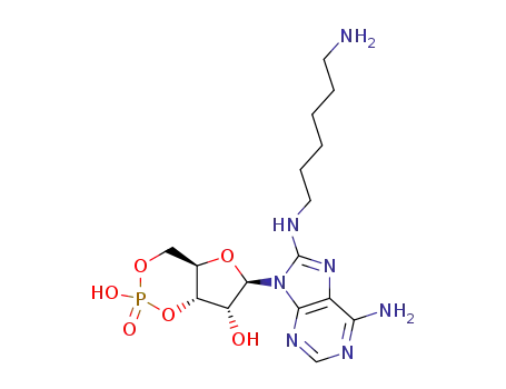 Molecular Structure of 39824-30-1 (8-AHA-CAMP)