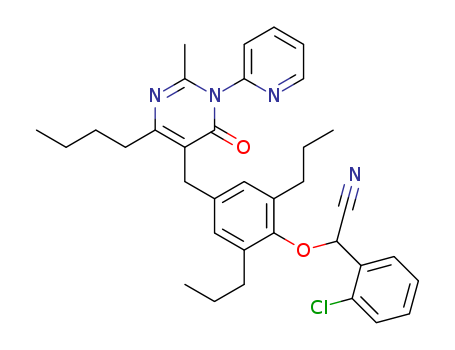 Click to see the large picture