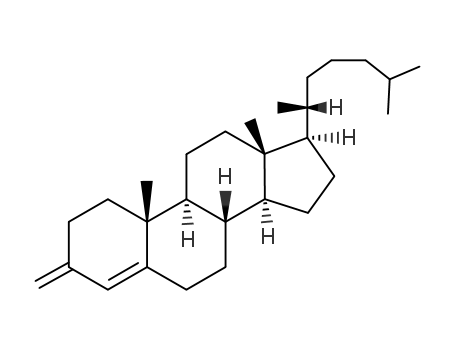 Molecular Structure of 4561-75-5 (3-methylidenecholest-4-ene)