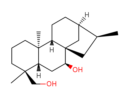 Click to see the large picture