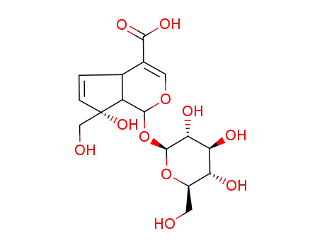 Molecular Structure of 5945-50-6 ((1S,2S,6S,9R)-9-hydroxy-9-(hydroxymethyl)-2-[(2S,3R,4S,5R,6R)-3,4,5-trihydroxy-6-(hydroxymethyl)oxan-2-yl]oxy-3-oxabicyclo[4.3.0]nona-4,7-diene-5-carboxylic acid)