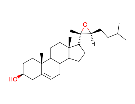 Click to see the large picture