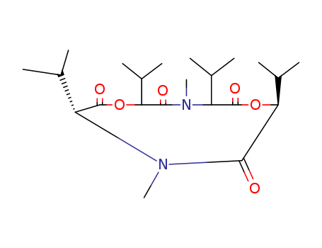 Click to see the large picture