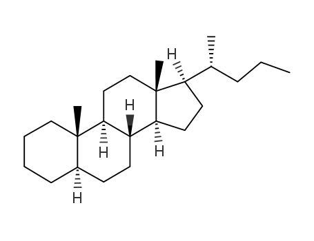 Molecular Structure of 548-98-1 (Cholane )