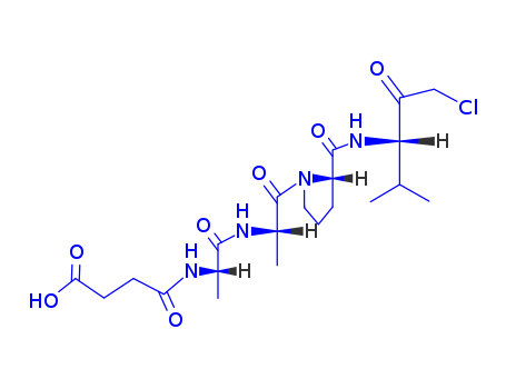 65144-33-4,succinyl-alanyl-alanyl-prolyl-valine chloromethyl ketone,L-Prolinamide,N-(3-carboxy-1-oxopropyl)-L-alanyl-L-alanyl-N-[3-chloro-1-(1-methylethyl)-2-oxopropyl]-,(S)-