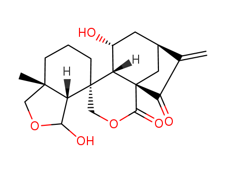 Click to see the large picture