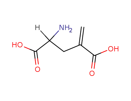 Molecular Structure of 7150-74-5 (GAMMA-METHYLENE-DL-GLUTAMIC ACID)
