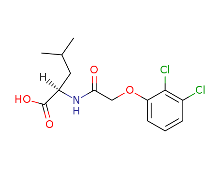 Click to see the large picture