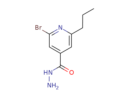 Click to see the large picture