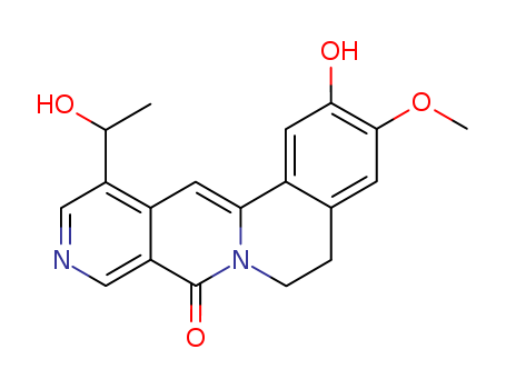 Click to see the large picture