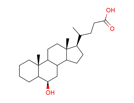 Molecular Structure of 77059-14-4 (6-hydroxycholanoic acid)