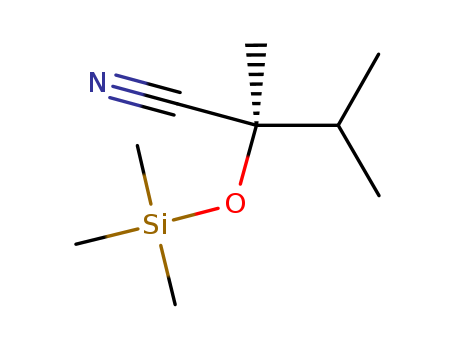 Click to see the large picture