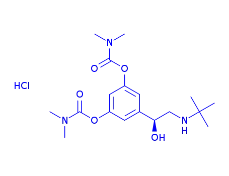 Molecular Structure of 81732-46-9 (Bambuterol hydrochloride)