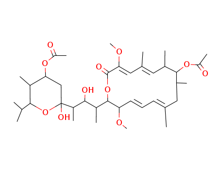 Click to see the large picture