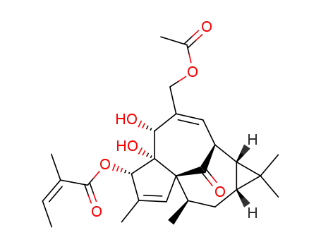 Molecular Structure of 82425-35-2 (20-O-Acetylingenol-3-angelate)