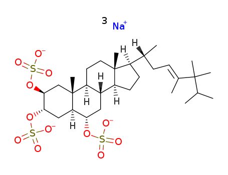 Click to see the large picture