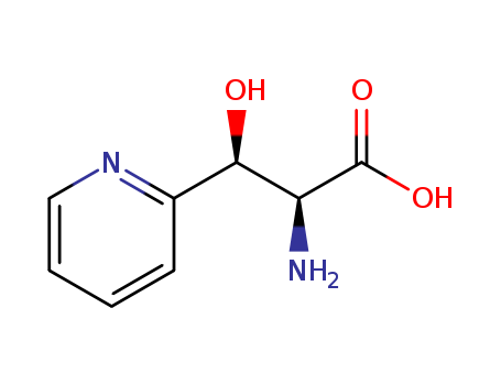 Click to see the large picture