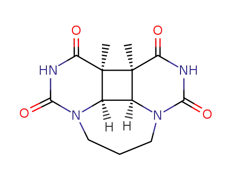 cis,syn-3,3'-dimethyl-1,1'-trimethylenebis(thymine) cyclobutadipyrimidine