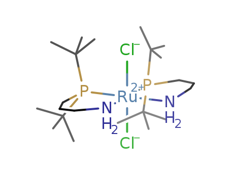 Dichlorobis[3-(di-t-butylphosphino)propylamine]ruthenium(II), min. 97%