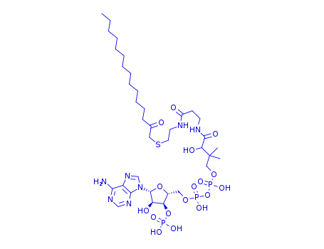 S-(2-Oxopentadecyl)-coenzyme A